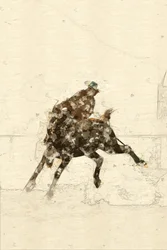 Western-broncoruiter