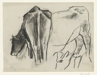Drie koeien