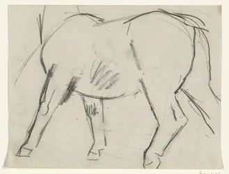 Lichaam van een paard