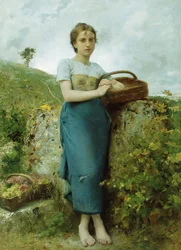 De Druivenplukker, 1895