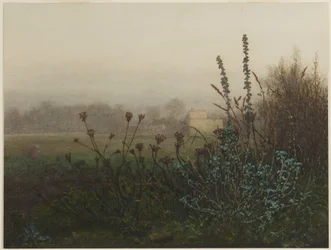 Landelijk landschap