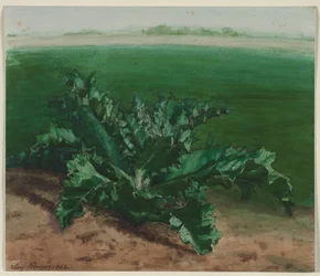 Studie van een plant, mogelijk distel
