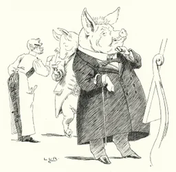 Barbier, barbier, scheer een varken; hoeveel haren maken een pruik?