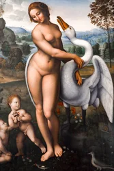 Leda en de zwaan