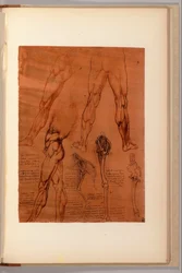 Een pagina uit "Quaderni d"Anatomia, I-VI, 1911-16