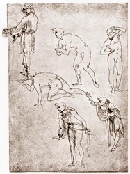 Aanbidding van de herders, ca. 1478-1480