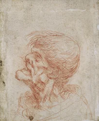 Karikatuur hoofdstudie van een oude man, c.1500-05