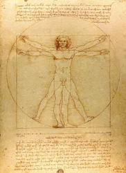 Da Vinci Vitruve Luc Viatour (uitsnede)