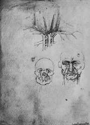 Tekening die de positie van de bloedvaten in de nek en het gezicht toont