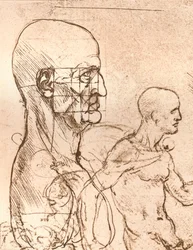Tekening ter illustratie van de theorie van de proporties van het menselijk figuur, ca. 1472-1519, 1883