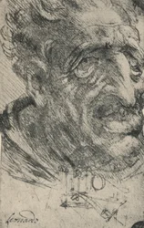 Groteske kop van een man driekwart naar rechts gedraaid, ca. 1480 1945