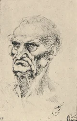Hoofd van een oude man driekwart naar links, ca. 1480 1945