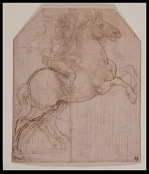 Ruiter op Steigerend Paard, ca. 1481-82