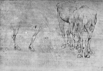 Studies van grazende paarden, ca. 1480-1945