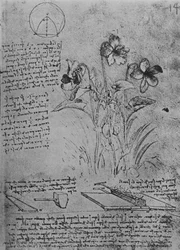 Studies van altviolen en methoden van solderen van loden daken