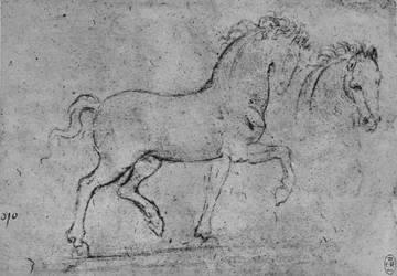 Studie van een paard en van een paardenhoofd, c1480 1945