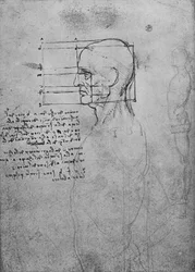 Studie van een mannelijk naakt torso, het hoofd in verhouding geschaald, ca. 1480