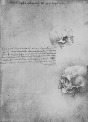 Twee tekeningen van de benige structuur van het hoofd, c1480