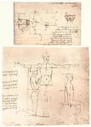 Twee tekeningen die de theorie van de proporties van het menselijk figuur illustreren
