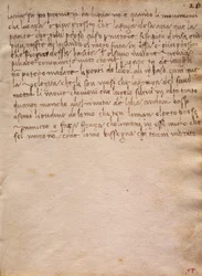 Ongesigneerd uittreksel uit de Codex Trivulzianus