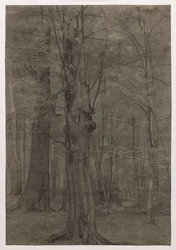 Bomen