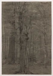 Bomen