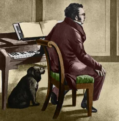 Portret van de Oostenrijkse componist Franz Schubert