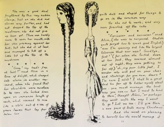 Alice op de lange nek - Manuscript en tekeningen van «Alice in Wonderland» door Lewis Carroll, collectie