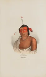 PE-A-JICK; Een Chippewa opperhoofd, uit de Aboriginal Portfolio