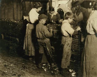 10-jarige Jimmie die al 3 jaar schilt (6 potten per dag) met een 11-jarige jongen die 7 potten schilt bij Varn und Platt Canning Co., Bluffton, South Carolina, 1913