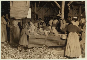 Bill May, 5 jaar oud, die 15 cent per dag verdient, in de schuur van de Barataria Canning Company, Biloxi, Mississippi, 1911