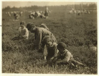 Jo Arnao 3, plukt veenbessen met zijn broer 6 en zus 9 in Whites Bog, Browns Mills, New Jersey, 1910