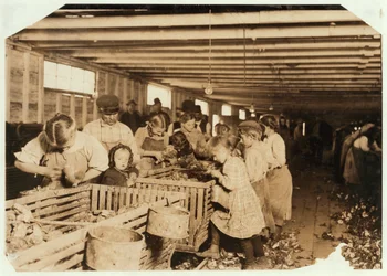 Rosy, 8 jaar oud, werkt een 14-urige dag als oesterschiller bij Dunbar Cannery, Louisiana, 1911