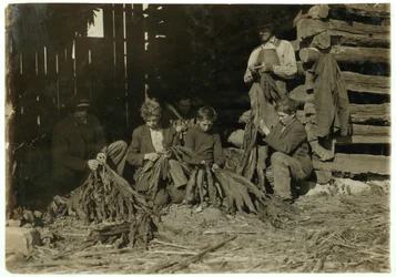 Zonen van J.H. Burch, 12, 14 en 17 jaar oud, strippen tabak tijdens schooluren in Warren County, Rockfield, Kentucky, 1916