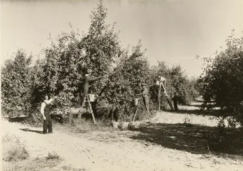 Zonder titel, ca. 1935