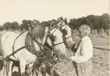 Zonder titel, ca. 1935