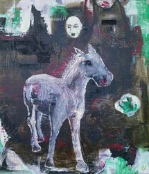 Het mysterieuze witte paard