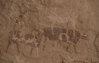 Vee en menselijke figuren, rotsschildering, Oued in Djeran, nabij Djanet, Tassili n