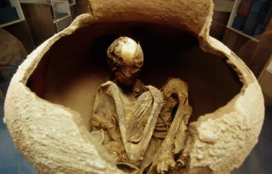 Mummie in een keramische urn. Atacama beschaving, Paleolithicum.