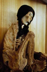 Mummie bekend als Miss Chile, uit San Pedro de Atacama, Chili, 500 v.Chr.
