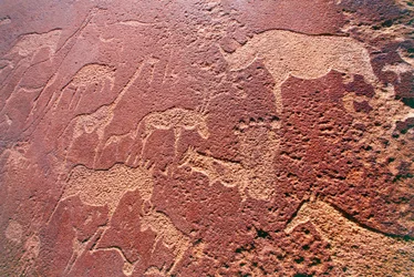 Namibië, Damaraland Wildernisgebied, Twyfelfontein, Brandberg Bergen, rotstekeningen uit de Steentijd