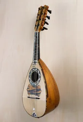 Napolitaanse mandoline, muziekinstrument gebouwd in de werkplaats van de luthier Pasquale Scala in Praiano, Campania. Italië, 20e eeuw