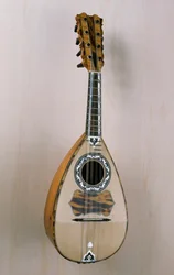 Napolitaanse mandoline, muziekinstrument gebouwd in de werkplaats van de luthier Pasquale Scala in Praiano, Campania, Italië, 20e eeuw