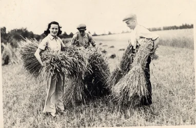 Foto van Adele Astaire tijdens de oogsttijd