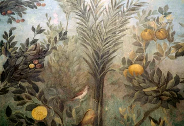 Granaatappelboom, detail van een fresco met een tuin met fruitbomen en vogels, uit het Huis van Livia op de Palatijn, Rome, Italië. Romeinse beschaving