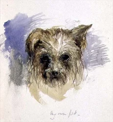 Mijn Huisdier Hond