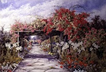 Ramblerrozen