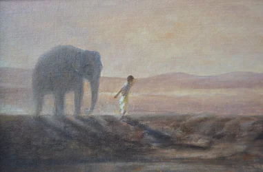 Jongen en olifant
