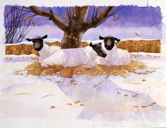 Schapen in de sneeuw
