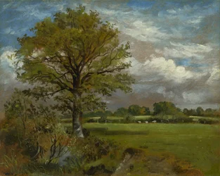 Boom in een Weide, ca. 1850